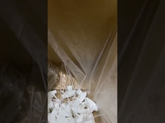 ট্রিগার স্প্রেয়ার